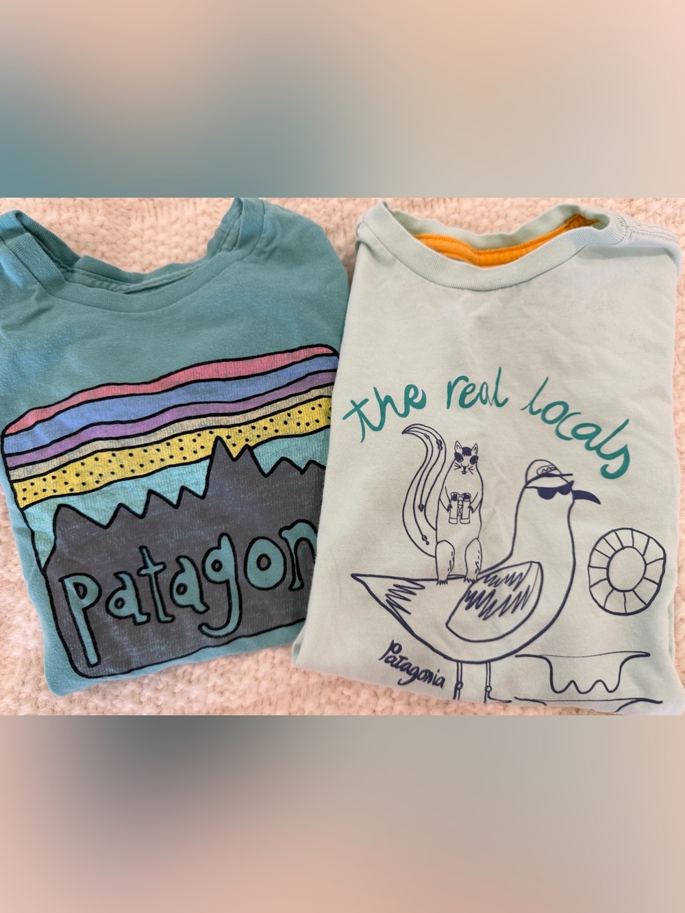🏕️ Patagonia T Shirt Bundle 4T